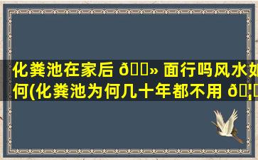 化粪池在家后 🌻 面行吗风水如何(化粪池为何几十年都不用 🦈 清理)
